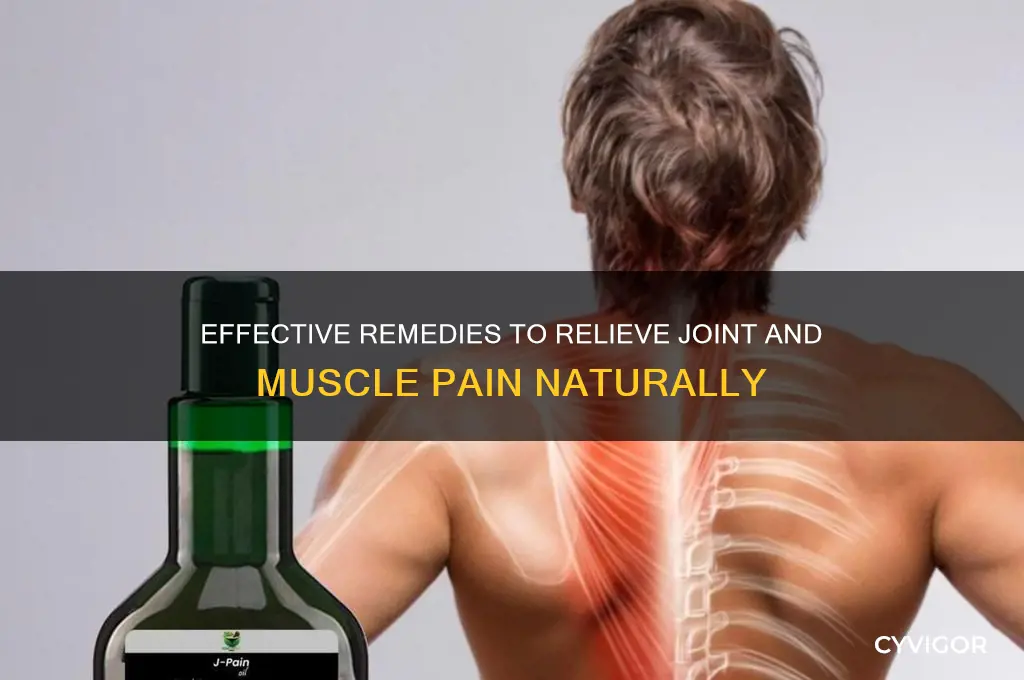 what relieves joint and muscle pain