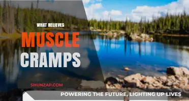 Natural Remedies to Ease Muscle Cramps: A Comprehensive Guide