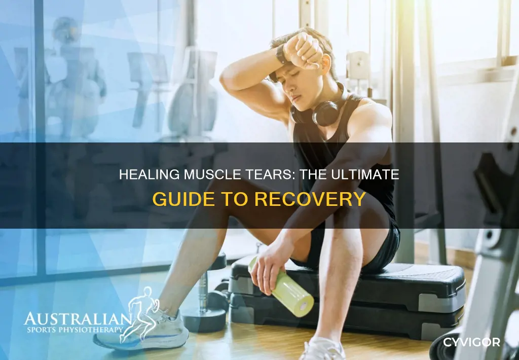 what repairs muscle tears
