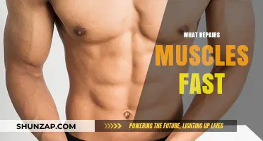 Fast-Track Muscle Repair and Recovery: Top Tips