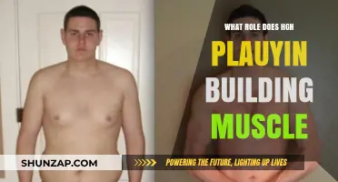 Unlocking Muscle Growth: The Essential Role of HGH