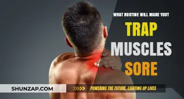 Effective Trap Workout Routine to Maximize Soreness and Strength Gains