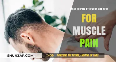 Effective Rx Pain Relievers for Muscle Pain: Top Options Explained