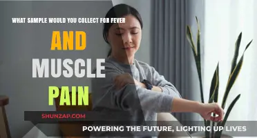 Fever and Muscle Pain: Optimal Sample Collection for Accurate Diagnosis