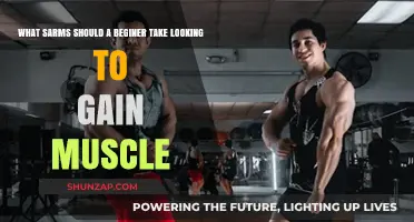 Best SARMs for Beginners: Building Muscle Safely and Effectively