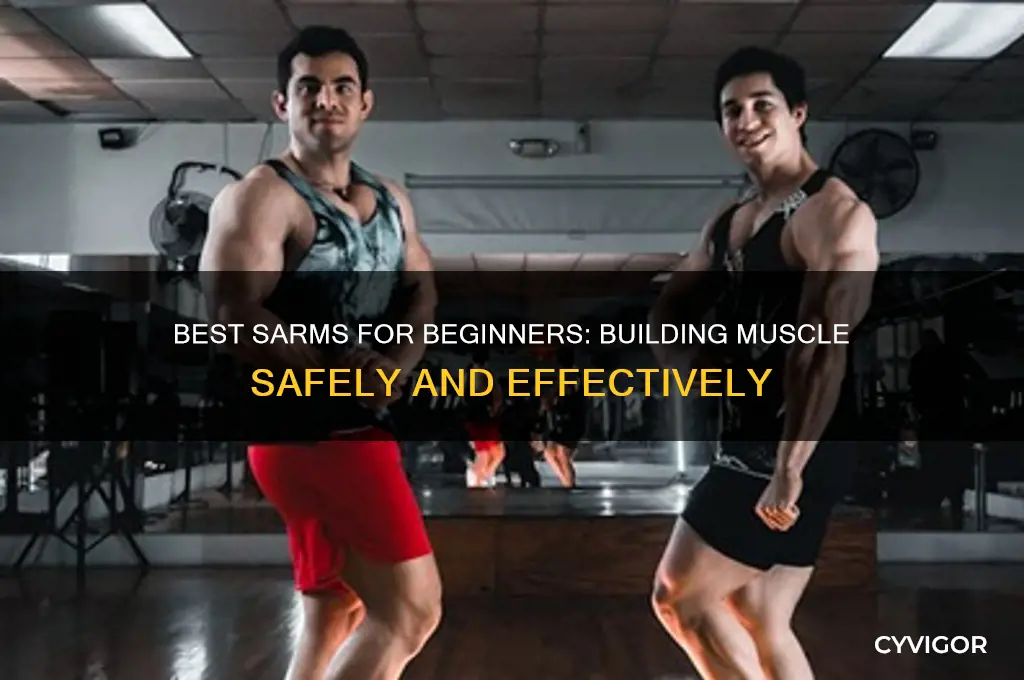 what sarms should a beginer take looking to gain muscle