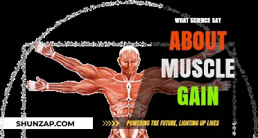 Science-Backed Strategies for Effective Muscle Gain and Growth