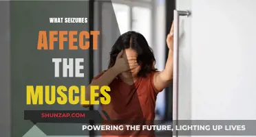 Understanding Seizures: Types That Impact Muscle Function