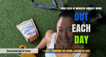Daily Muscle Workout Plan: Targeting Key Groups for Optimal Results