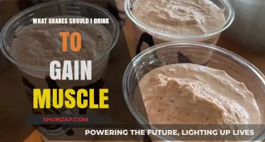 Best Muscle-Building Shakes: Fuel Your Gains with These Top Picks