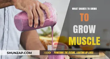 Fuel Your Gains: Top Muscle-Building Shakes to Try Now
