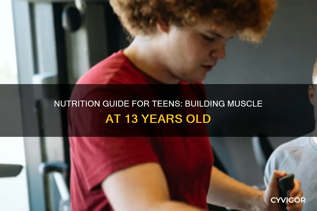 what should a 13-year-old eat to gain muscle