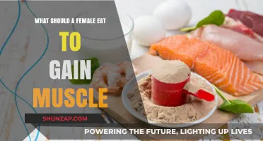 Muscle-Building Nutrition Guide: What Women Should Eat to Gain Muscle