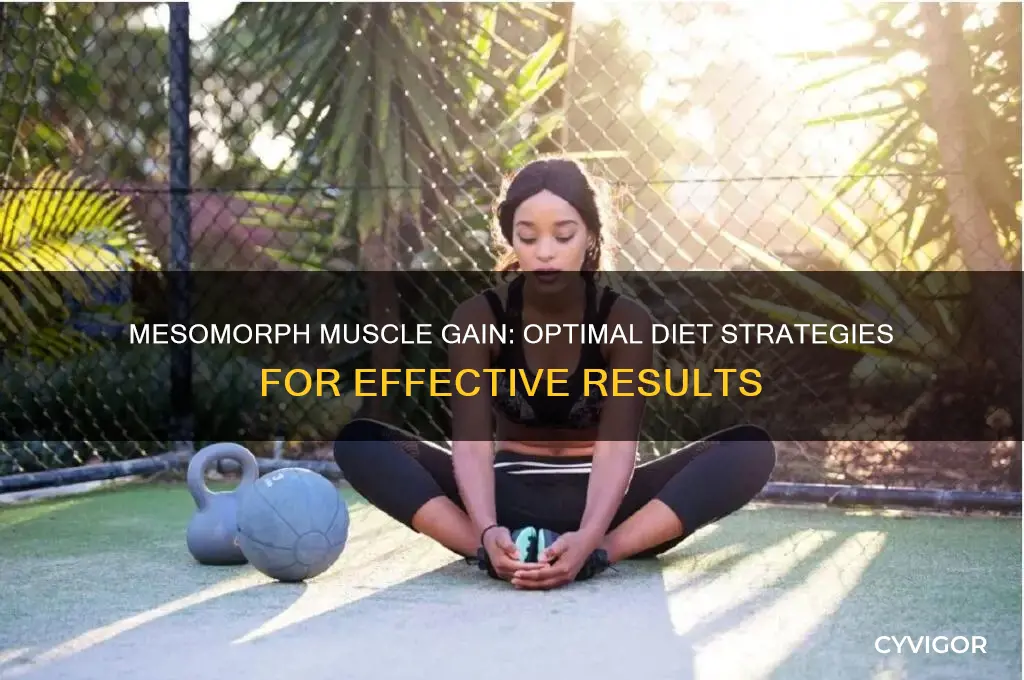 what should a mesomorph eat to gain muscle