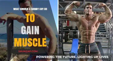 Skinny Guy's Guide: Effective Strategies to Build Muscle Mass Fast