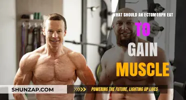 Ectomorph Muscle Gain: Optimal Diet Strategies for Lean Body Types