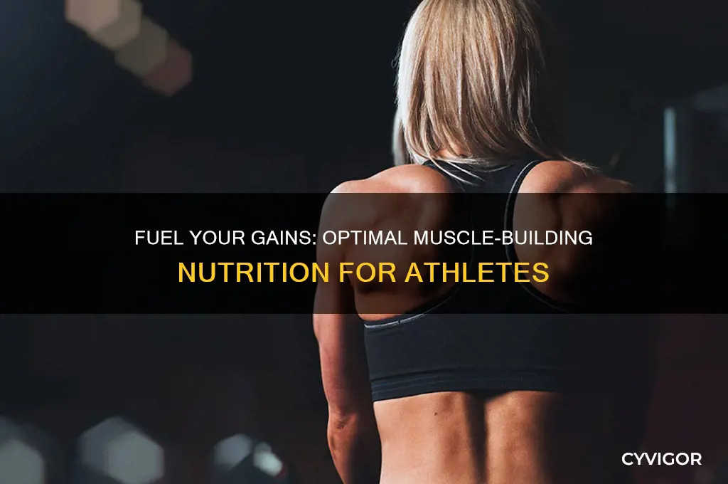 what should athletes eat to gain muscle