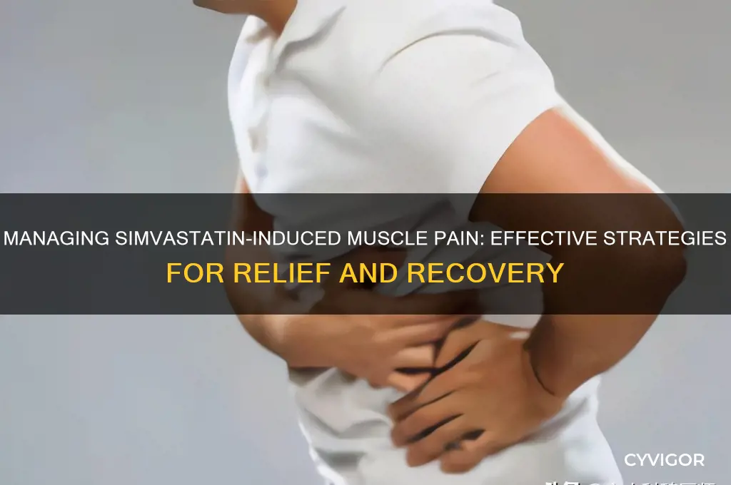 what should be done if having muscle pain from simvastatin