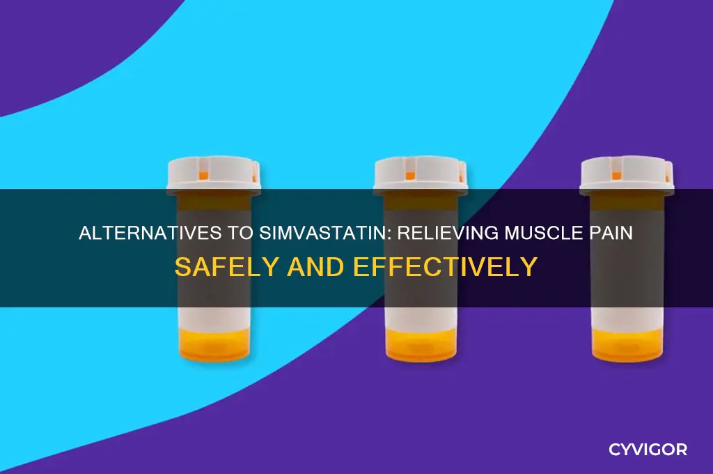 what should be taken instead of simvastatin for muscle pain