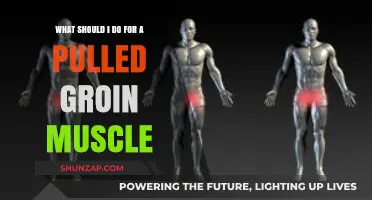 Effective Recovery Tips for Healing a Pulled Groin Muscle Fast