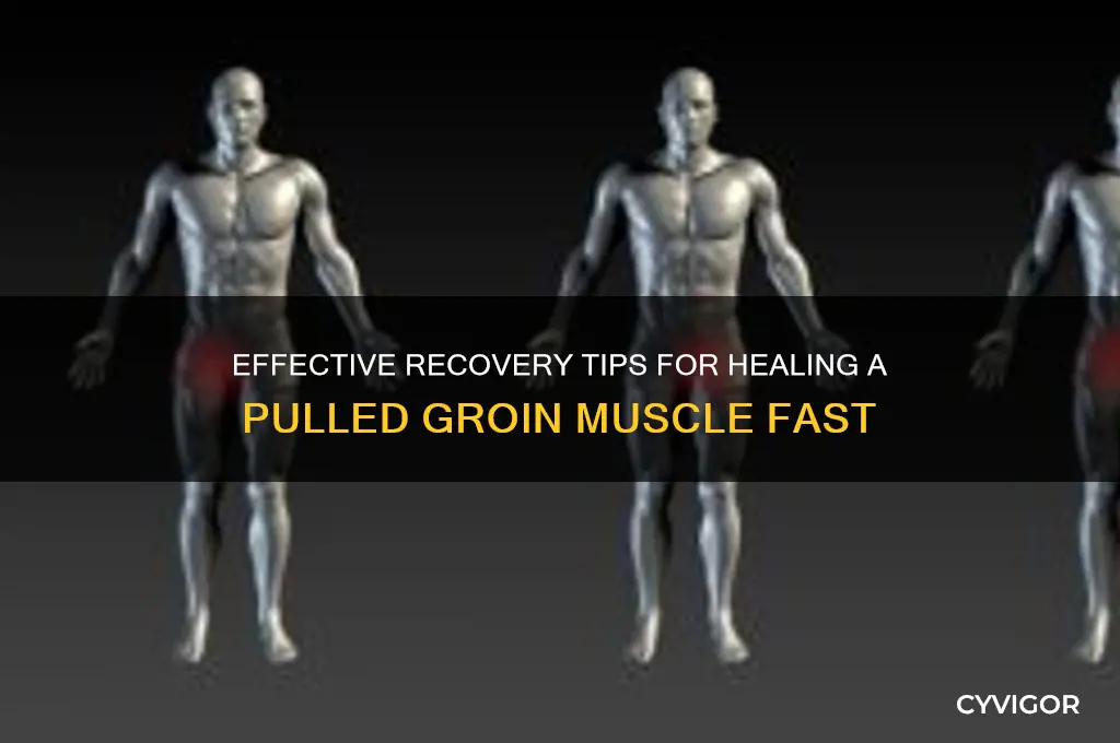 what should i do for a pulled groin muscle