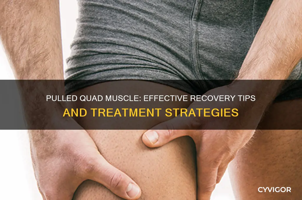 what should i do for pulled quad muscle