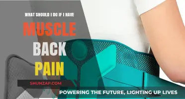 Effective Remedies for Relieving Persistent Muscle Back Pain Quickly