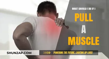 Pulled Muscle? Immediate Steps for Relief and Recovery Guide