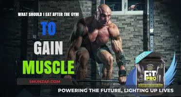 Post-Workout Muscle Fuel: Best Foods to Eat After the Gym