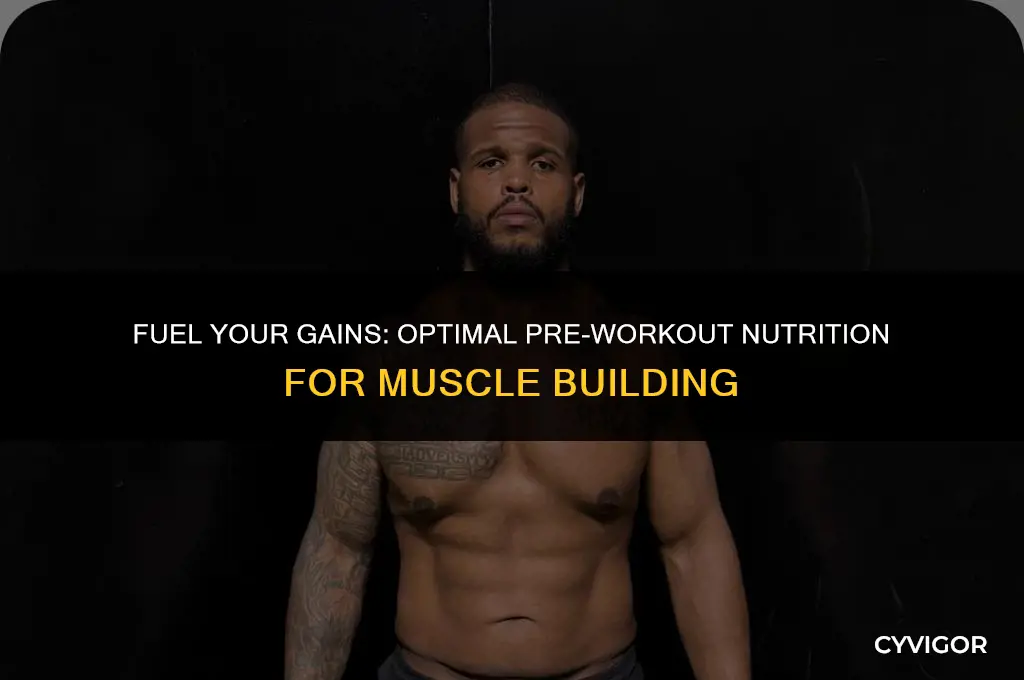 what should i eat before a workout to build muscle