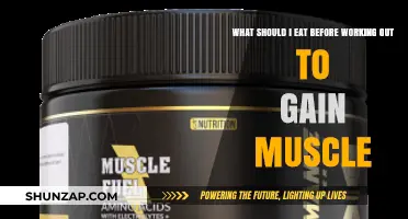 Fuel Your Muscle Gain: Pre-Workout Meals for Optimal Results