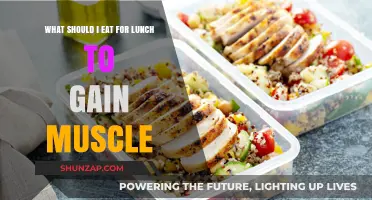 Muscle-Building Lunch Ideas: Fuel Your Gains with These Nutritious Meals