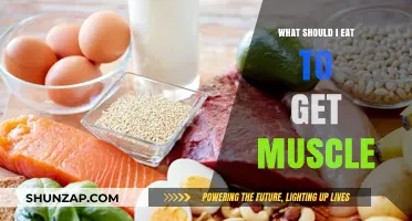Fuel Your Gains: The Ultimate Guide to Muscle-Building Nutrition