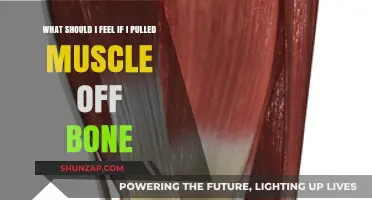 Pulled Muscle Off Bone: Understanding Pain, Recovery, and Emotional Response