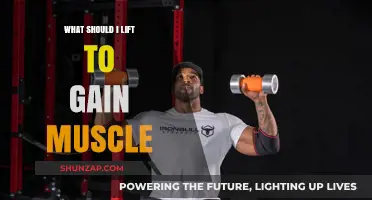 Effective Lifts for Muscle Gain: Build Strength and Size Fast