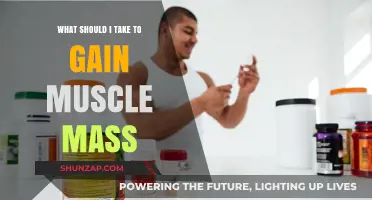 Effective Supplements and Strategies to Build Muscle Mass Fast