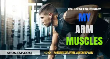 Effective Tools and Techniques to Bulk Up Your Arm Muscles Fast