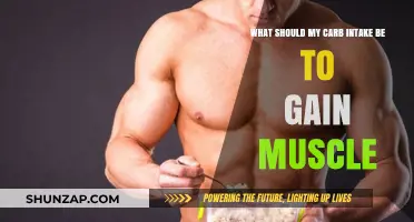 Optimal Carb Intake for Muscle Gain: Fuel Your Growth Effectively