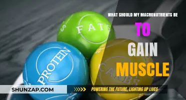 Optimize Your Macros: The Ultimate Guide to Muscle Gain