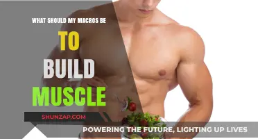 Unlocking Muscle Growth: Your Guide to Optimal Macro Ratios