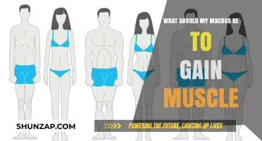 Optimal Macro Ratios for Muscle Gain: A Comprehensive Guide