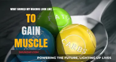 Optimal Macro Ratios for Muscle Gain: A Comprehensive Guide