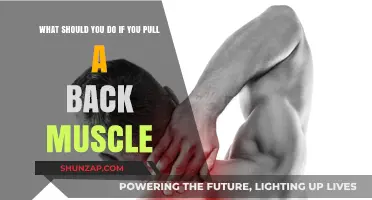 Pulled Back Muscle? Immediate Steps for Relief and Recovery
