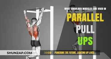 Shoulder Muscles Engaged in Parallel Pull-Ups: A Detailed Breakdown