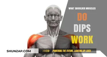Dips Workout: Targeting Shoulder Muscles for Strength and Definition