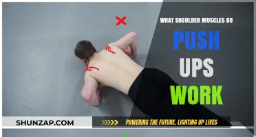 Push-Ups: Targeting Shoulder Muscles for Strength and Stability