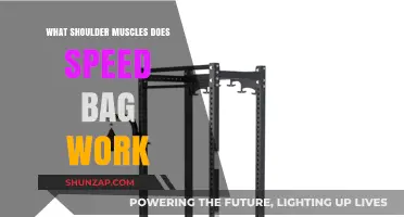 Speed Bag Workout: Targeting Shoulder Muscles for Strength and Agility