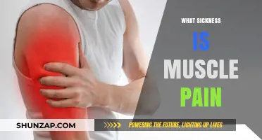 Understanding Muscle Pain: Causes, Symptoms, and Common Illnesses Linked