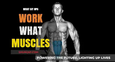 Sit-Ups Unveiled: Targeted Muscles and Effective Core Engagement Explained