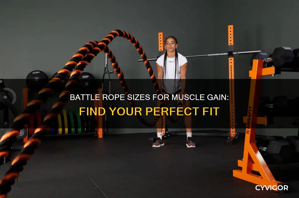 what size battle rope to gain muscle